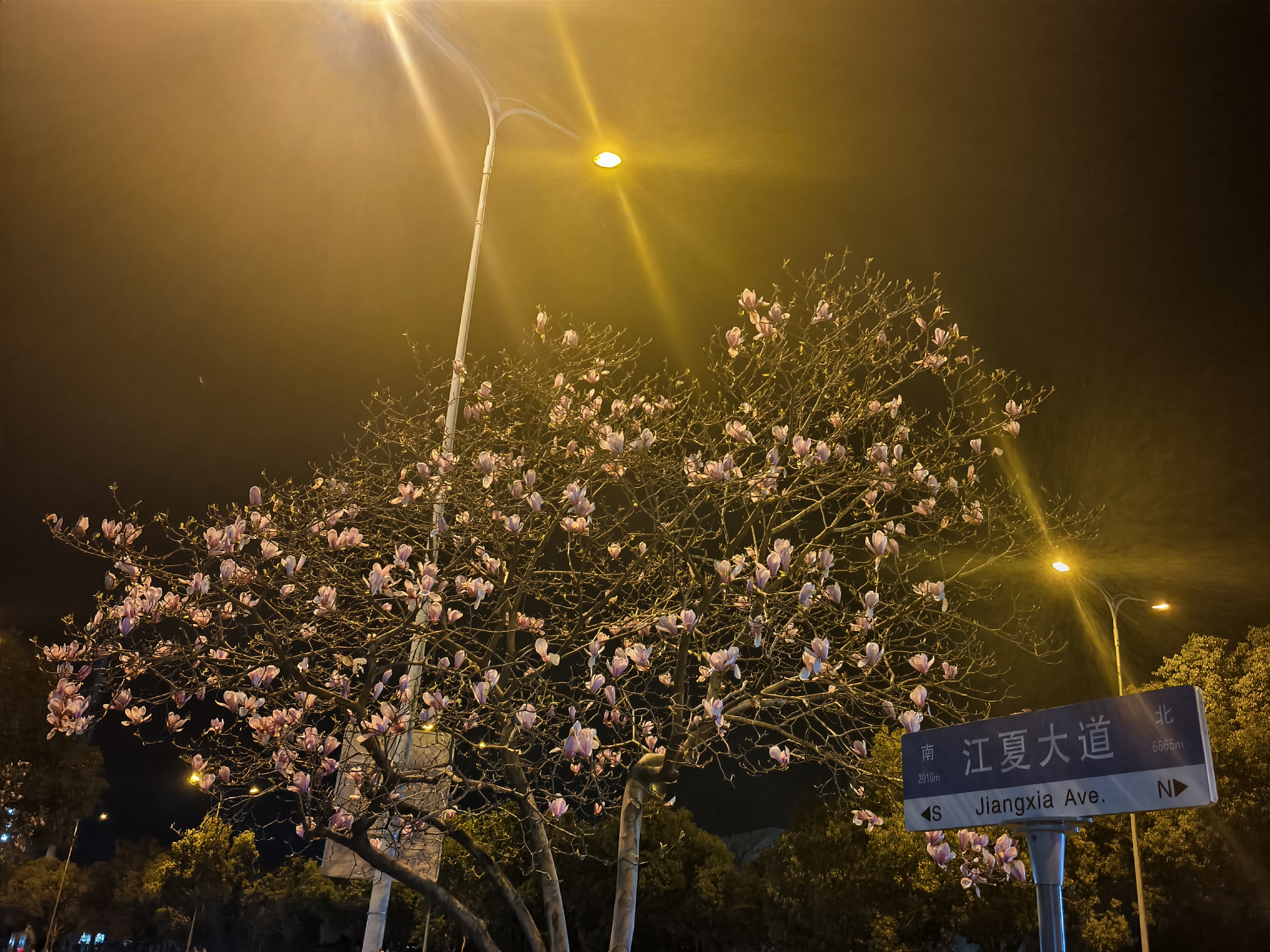 hyt1图片加载失败