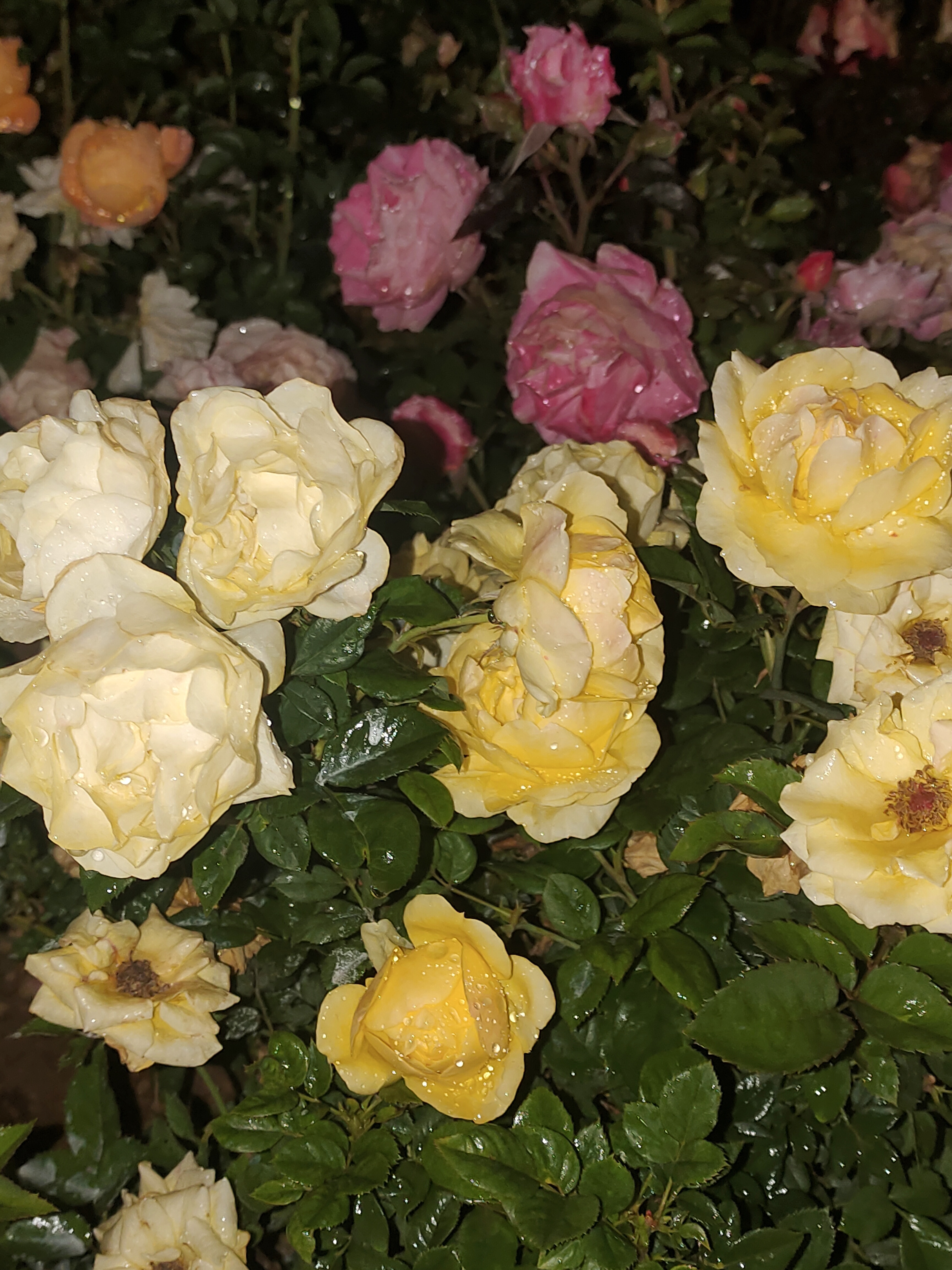 hyt8图片加载失败